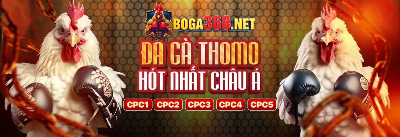Cá Cược Có Trách Nhiệm 566bet